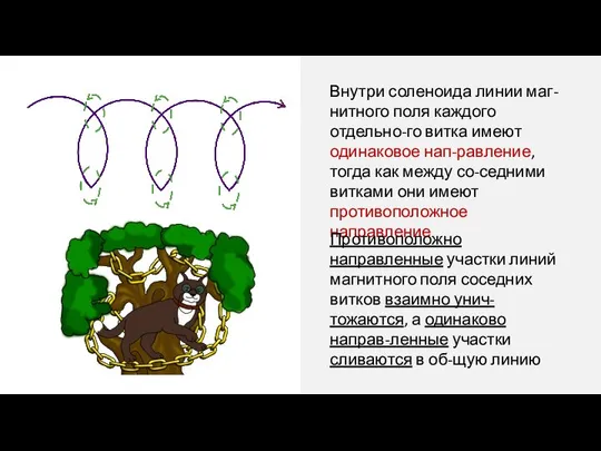 Внутри соленоида линии маг-нитного поля каждого отдельно-го витка имеют одинаковое нап-равление,