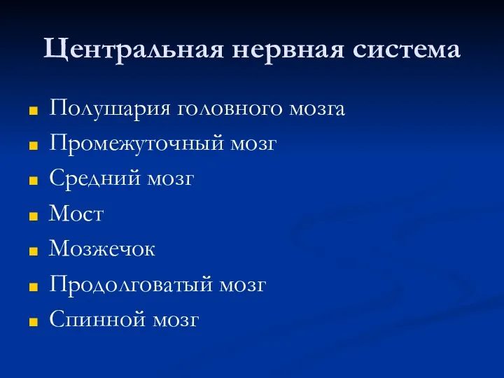 Центральная нервная система Полушария головного мозга Промежуточный мозг Средний мозг Мост Мозжечок Продолговатый мозг Спинной мозг