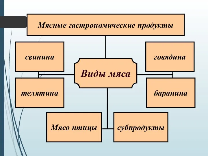 Виды мяса Мясные гастрономические продукты телятина говядина свинина баранина Мясо птицы субпродукты