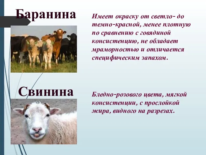 Свинина Баранина Имеет окраску от светло- до темно-красной, менее плотную по