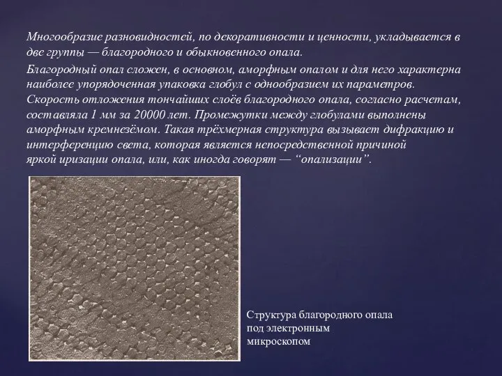 Многообразие разновидностей, по декоративности и ценности, укладывается в две группы —