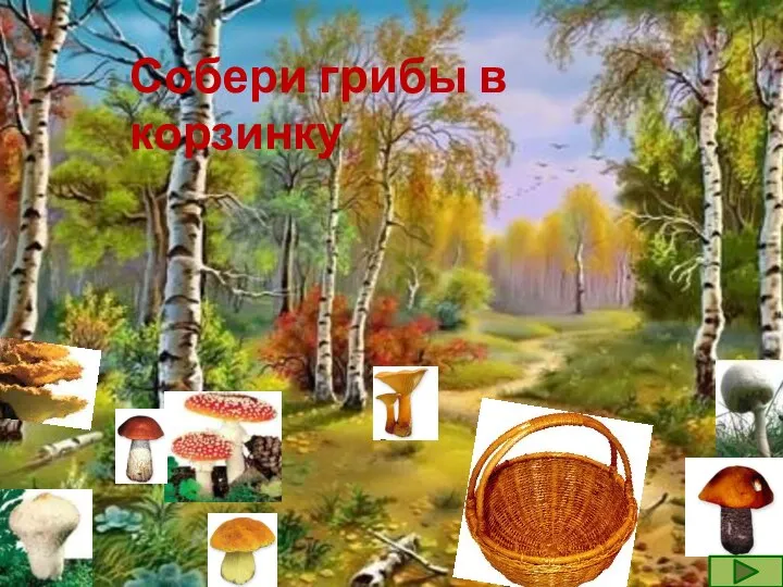 Собери грибы в корзинку