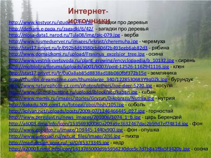 http://www.kostyor.ru/student/?n=319 – загадки про деревья http://detkam.e-papa.ru/zagadki/6/42/ - загадки про деревья http://niosa-data1.narod.ru/Tula08/img/pic-079.jpg