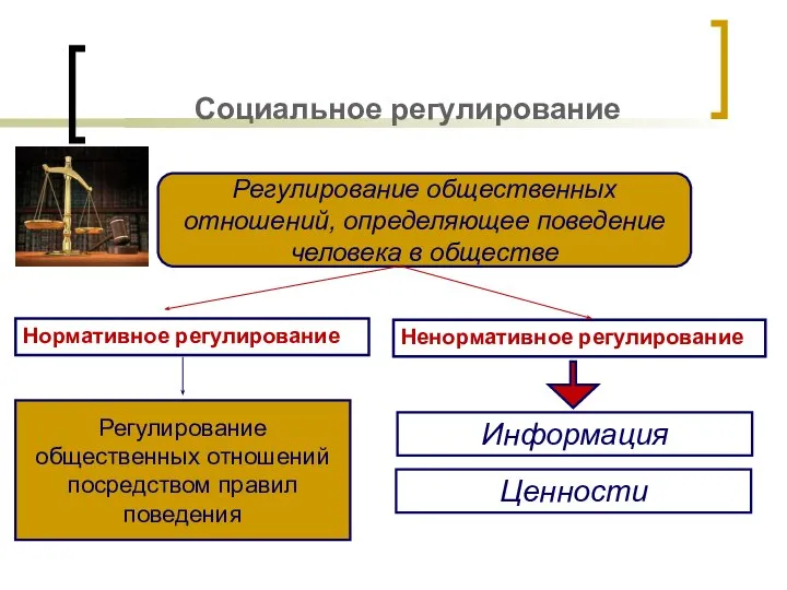 Социальное регулирование Нормативное регулирование Ненормативное регулирование Регулирование общественных отношений, определяющее поведение