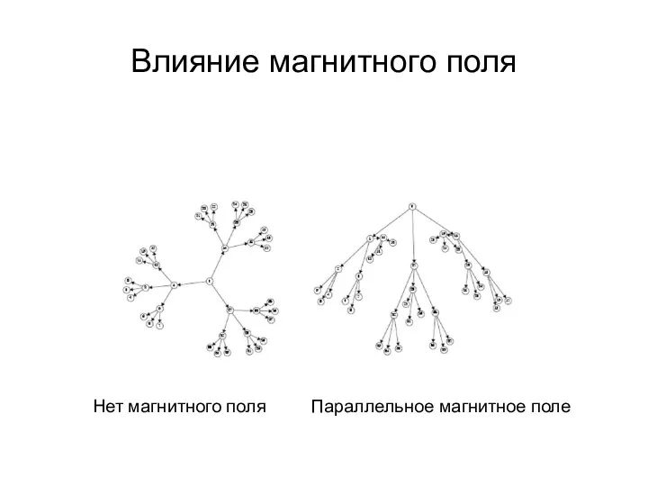 Влияние магнитного поля Нет магнитного поля Параллельное магнитное поле