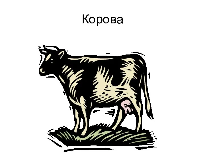 Корова