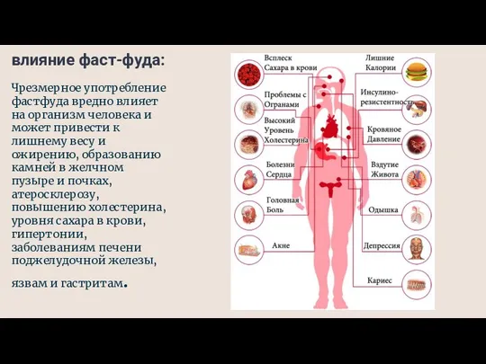 Чрезмерное употребление фастфуда вредно влияет на организм человека и может привести