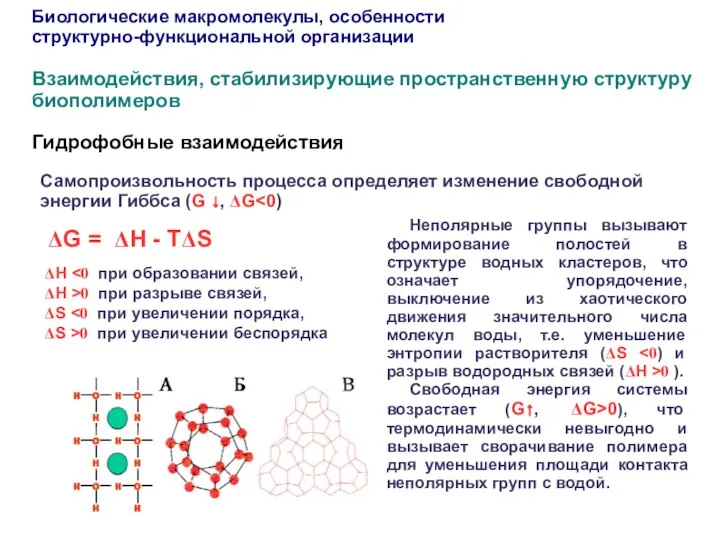 Гидрофобные взаимодействия ΔG = ΔH - TΔS Самопроизвольность процесса определяет изменение