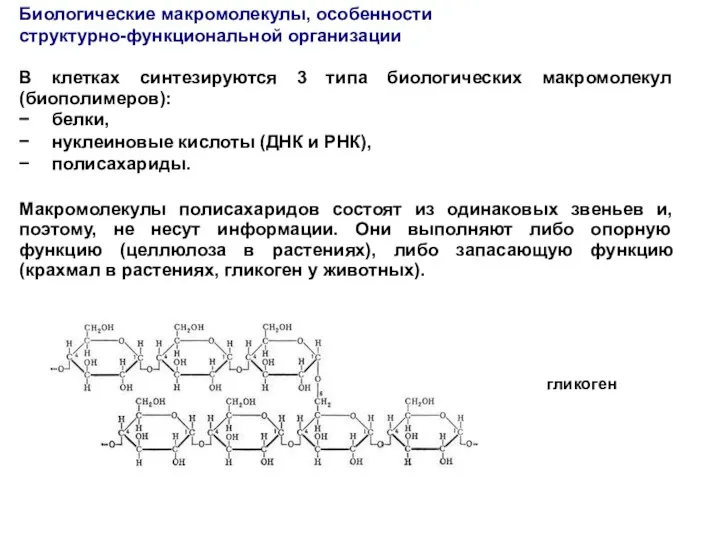 В клетках синтезируются 3 типа биологических макромолекул (биополимеров): − белки, −