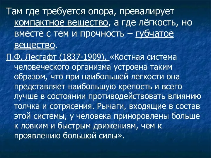 Там где требуется опора, превалирует компактное вещество, а где лёгкость, но