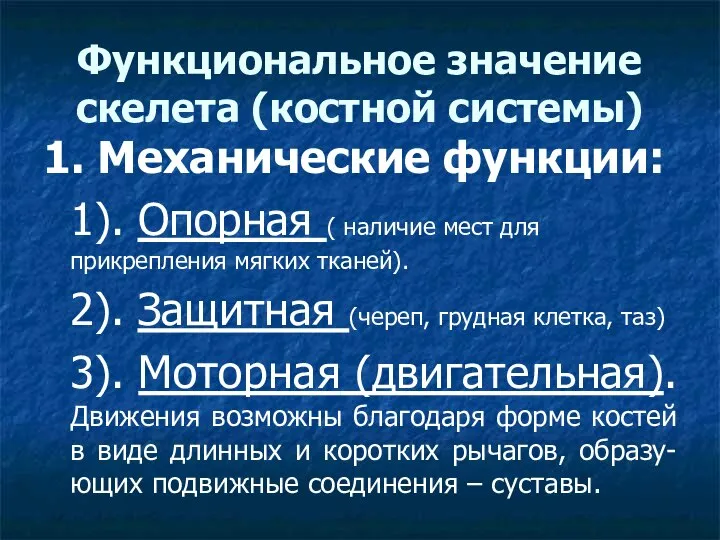 Функциональное значение скелета (костной системы) 1. Механические функции: 1). Опорная (