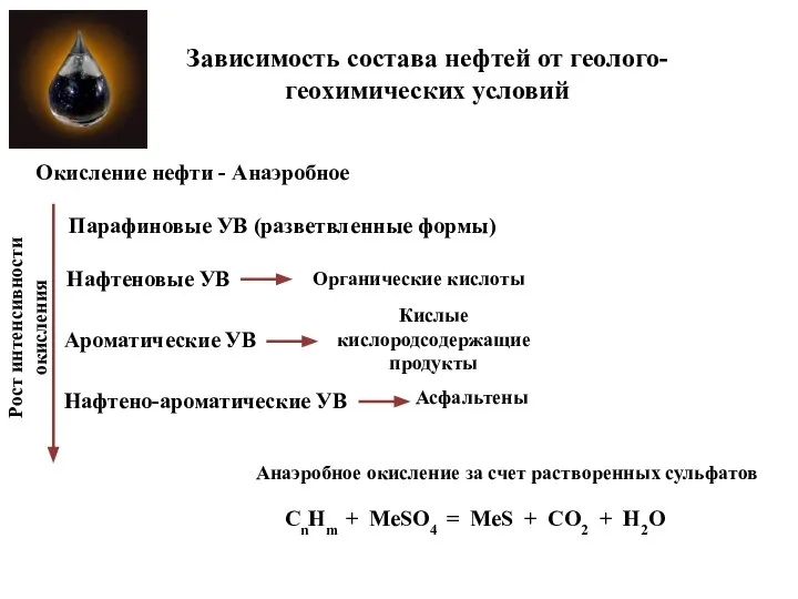 Окисление нефти - Анаэробное Органические кислоты Рост интенсивности окисления Парафиновые УВ