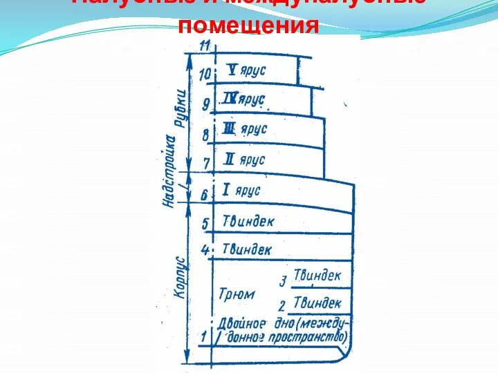 Палубные и междупалубные помещения