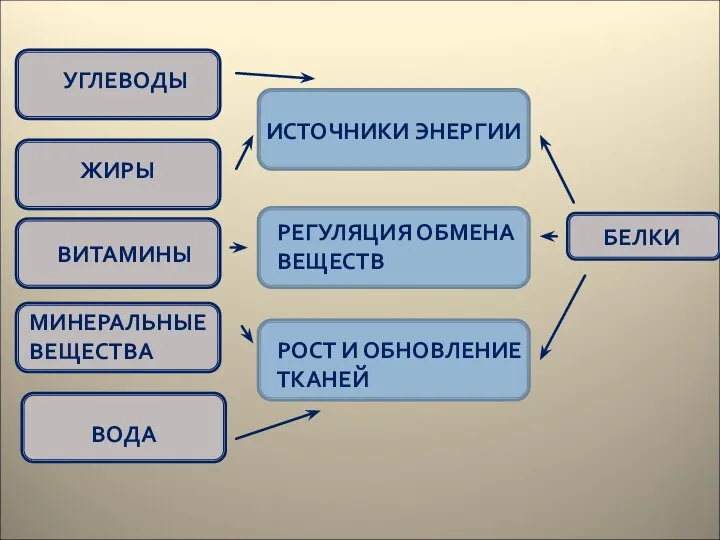 УГЛЕВОДЫ ЖИРЫ ВИТАМИНЫ МИНЕРАЛЬНЫЕ ВЕЩЕСТВА ВОДА ИСТОЧНИКИ ЭНЕРГИИ РЕГУЛЯЦИЯ ОБМЕНА ВЕЩЕСТВ РОСТ И ОБНОВЛЕНИЕ ТКАНЕЙ БЕЛКИ