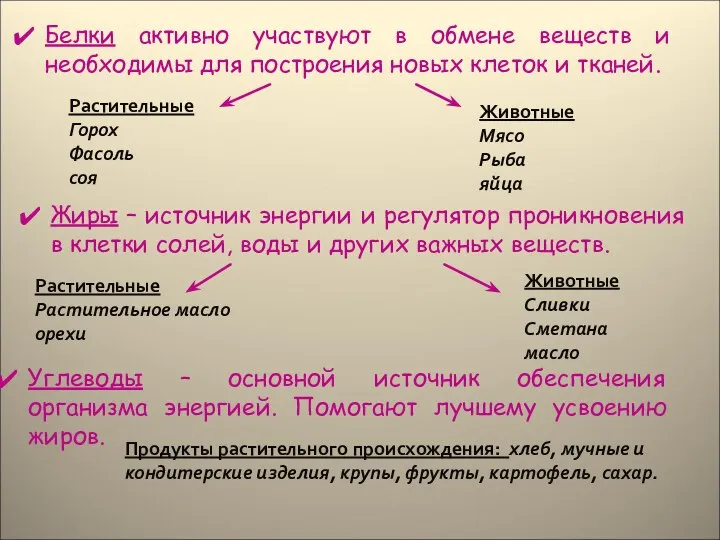 Углеводы – основной источник обеспечения организма энергией. Помогают лучшему усвоению жиров.