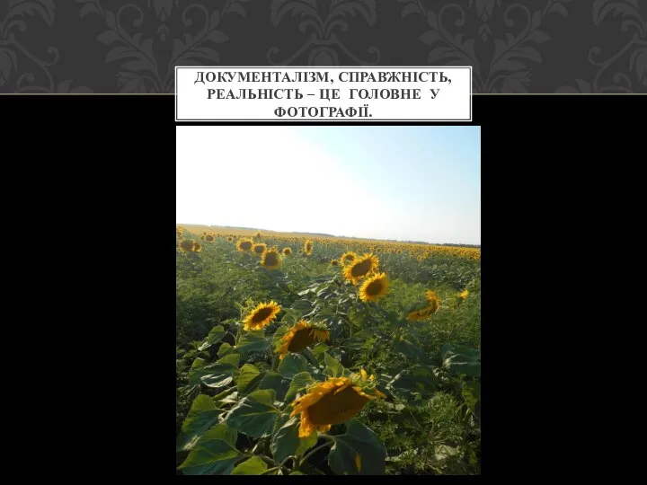 ДОКУМЕНТАЛІЗМ, СПРАВЖНІСТЬ, РЕАЛЬНІСТЬ – ЦЕ ГОЛОВНЕ У ФОТОГРАФІЇ.