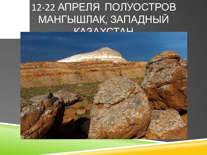 12-22 АПРЕЛЯ ПОЛУОСТРОВ МАНГЫШЛАК, ЗАПАДНЫЙ КАЗАХСТАН