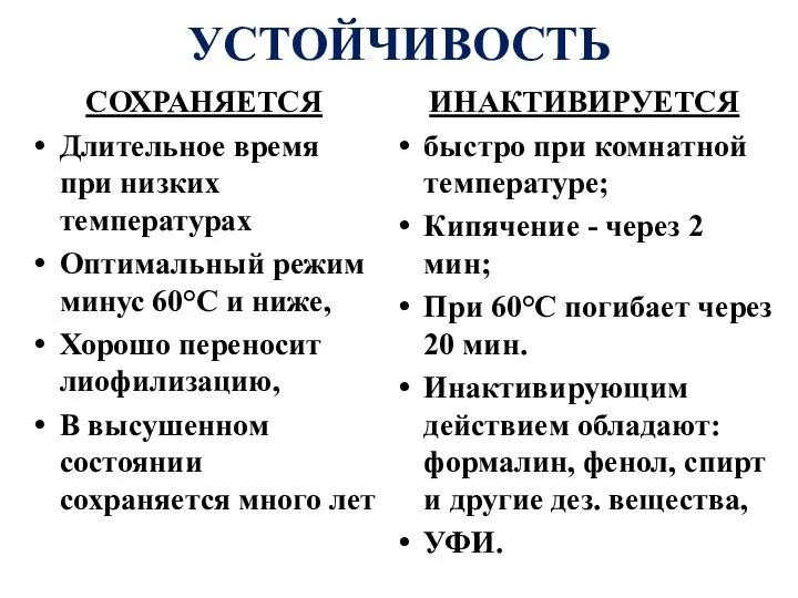 УСТОЙЧИВОСТЬ СОХРАНЯЕТСЯ Длительное время при низких температурах Оптимальный режим минус 60°С