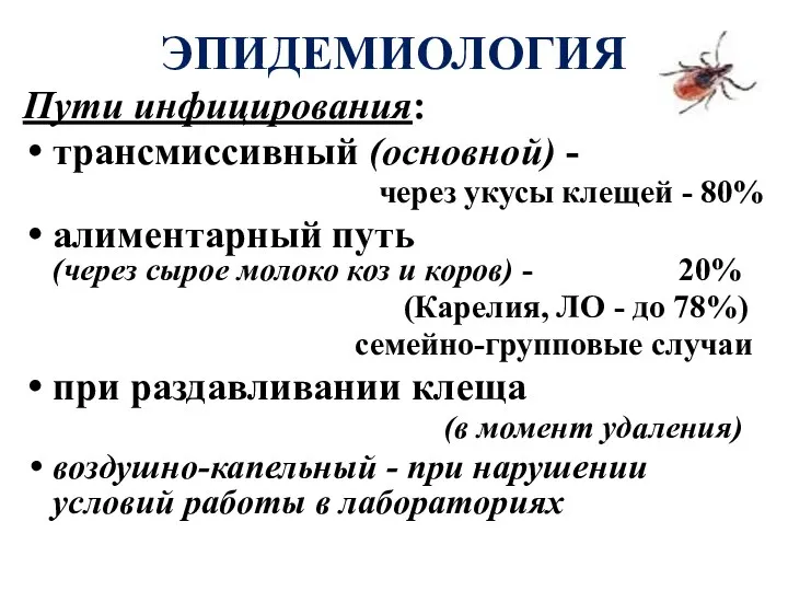 ЭПИДЕМИОЛОГИЯ Пути инфицирования: трансмиссивный (основной) - через укусы клещей - 80%