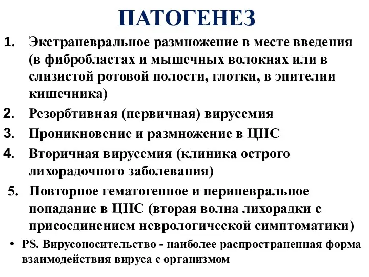 ПАТОГЕНЕЗ Экстраневральное размножение в месте введения (в фибробластах и мышечных волокнах