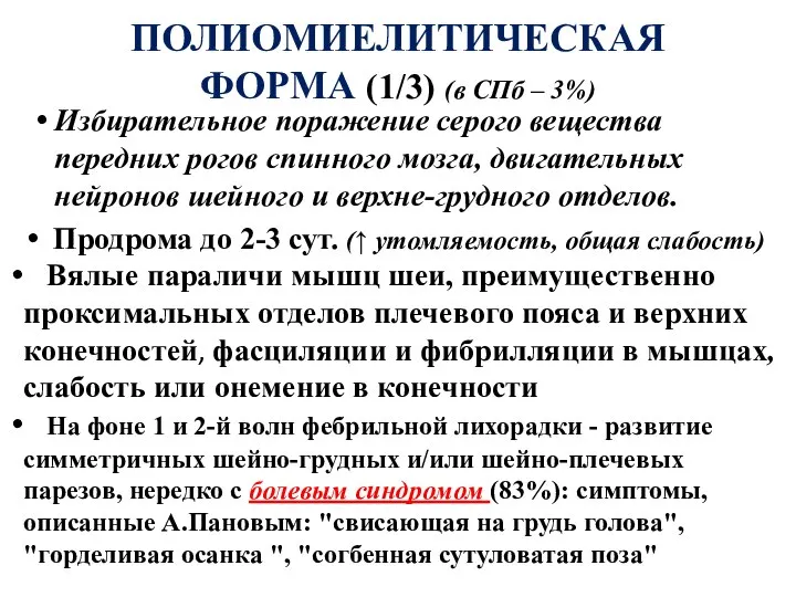 ПОЛИОМИЕЛИТИЧЕСКАЯ ФОРМА (1/3) (в СПб – 3%) Избирательное поражение серого вещества