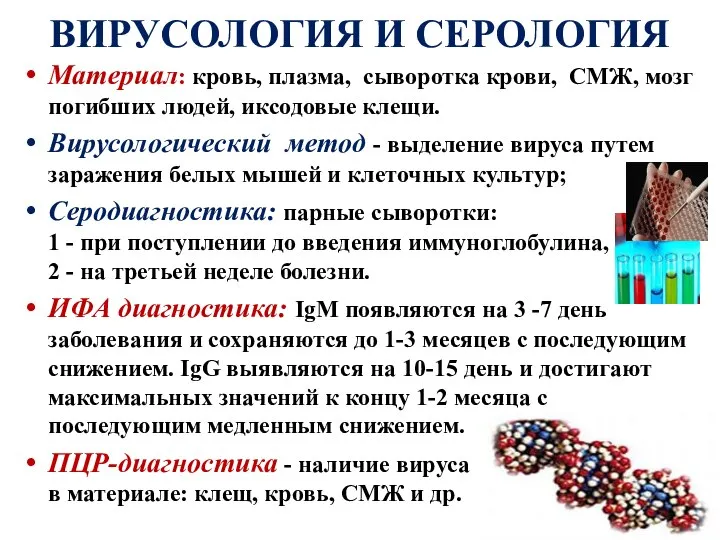 ВИРУСОЛОГИЯ И СЕРОЛОГИЯ Материал: кровь, плазма, сыворотка крови, СМЖ, мозг погибших