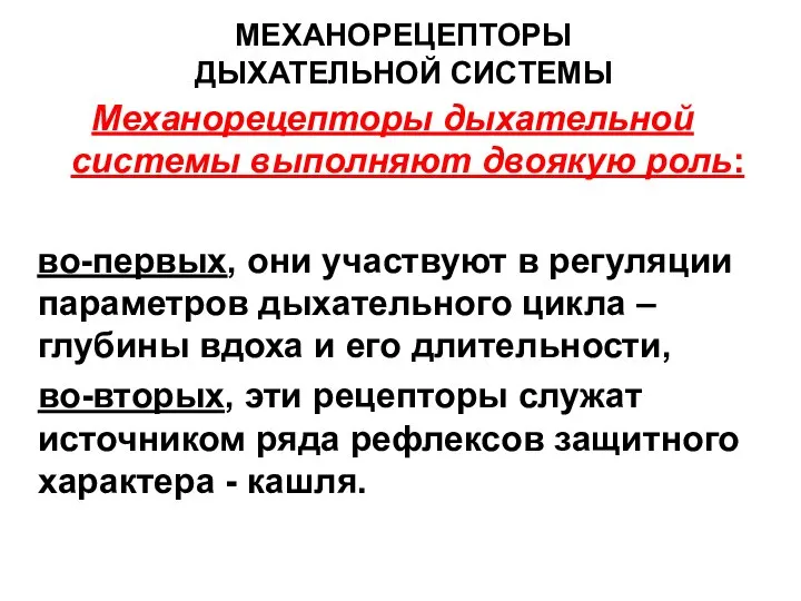 МЕХАНОРЕЦЕПТОРЫ ДЫХАТЕЛЬНОЙ СИСТЕМЫ Механорецепторы дыхательной системы выполняют двоякую роль: во-первых, они