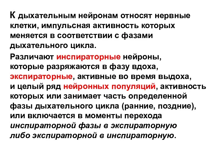 К дыхательным нейронам относят нервные клетки, импульсная активность которых меняется в