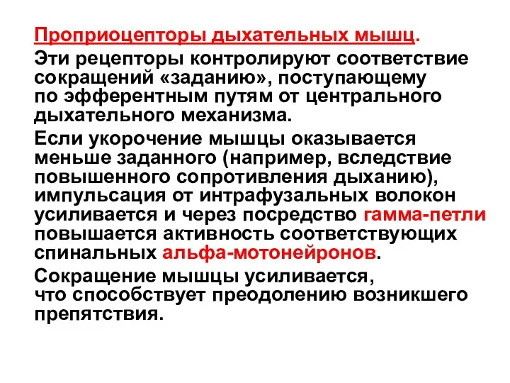 Проприоцепторы дыхательных мышц. Эти рецепторы контролируют соответствие сокращений «заданию», поступающему по