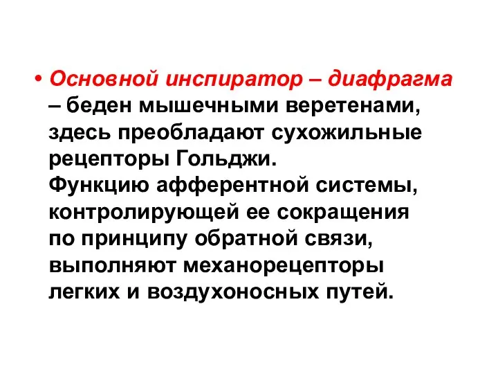 Основной инспиратор – диафрагма – беден мышечными веретенами, здесь преобладают сухожильные