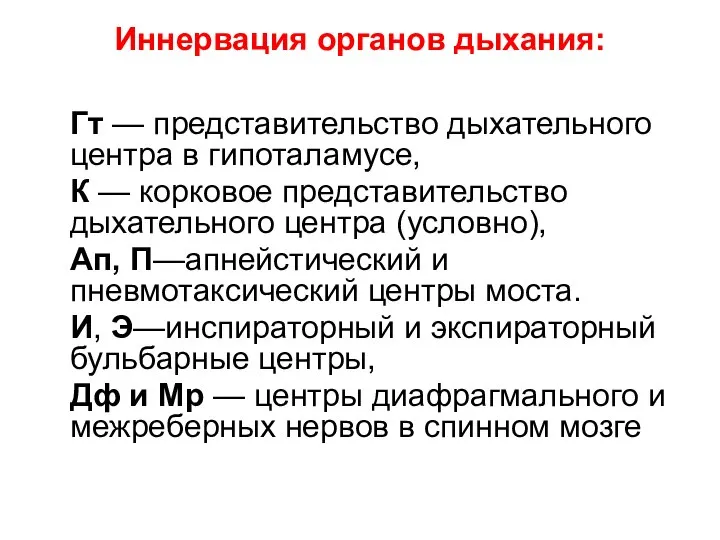 Иннервация органов дыхания: Гт — представительство дыхательного центра в гипоталамусе, К