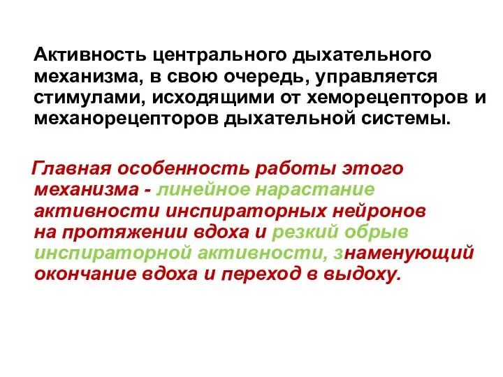 Активность центрального дыхательного механизма, в свою очередь, управляется стимулами, исходящими от