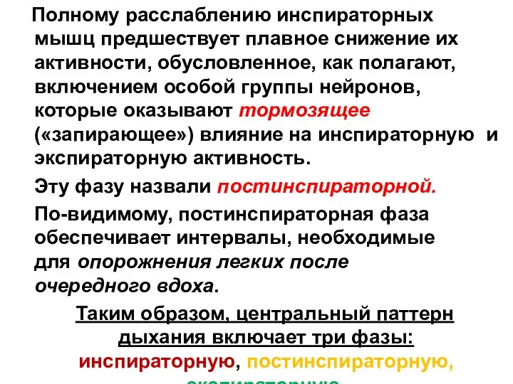 Полному расслаблению инспираторных мышц предшествует плавное снижение их активности, обусловленное, как