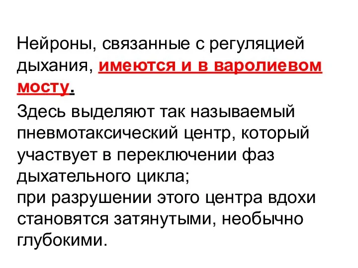 Нейроны, связанные с регуляцией дыхания, имеются и в варолиевом мосту. Здесь