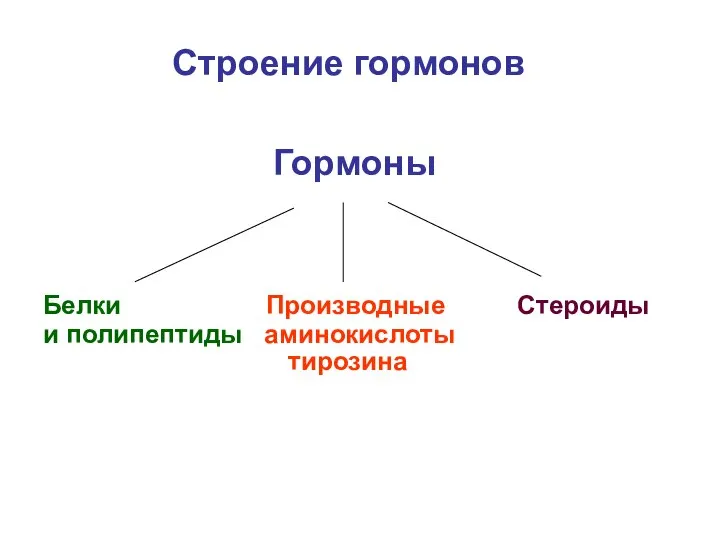 Строение гормонов Гормоны Белки Производные Стероиды и полипептиды аминокислоты тирозина