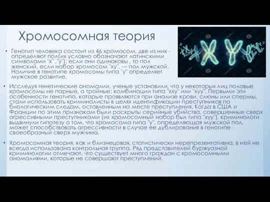 Хромосомная теория Генотип человека состоит из 46 хромосом, две из них