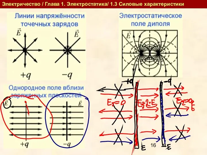 Электричество / Глава 1. Электростатика/ 1.3 Силовые характеристики