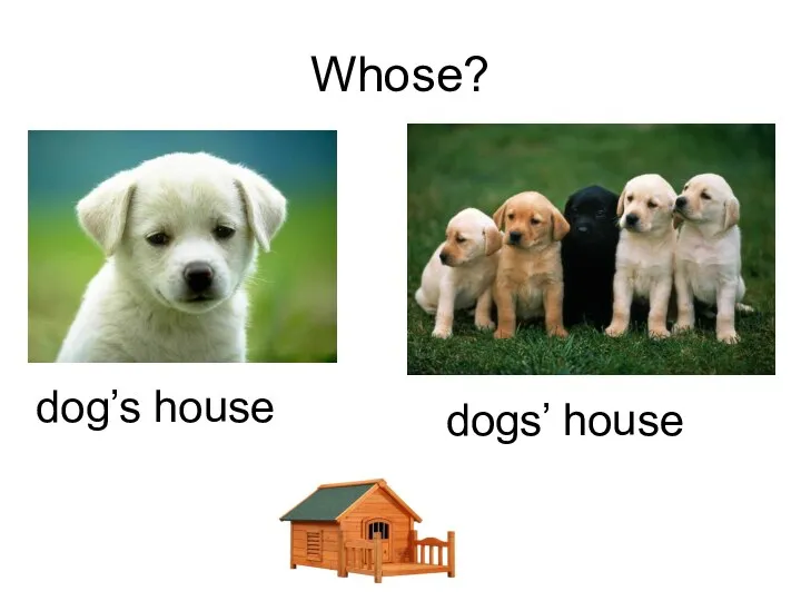 Whose? dog’s house dogs’ house