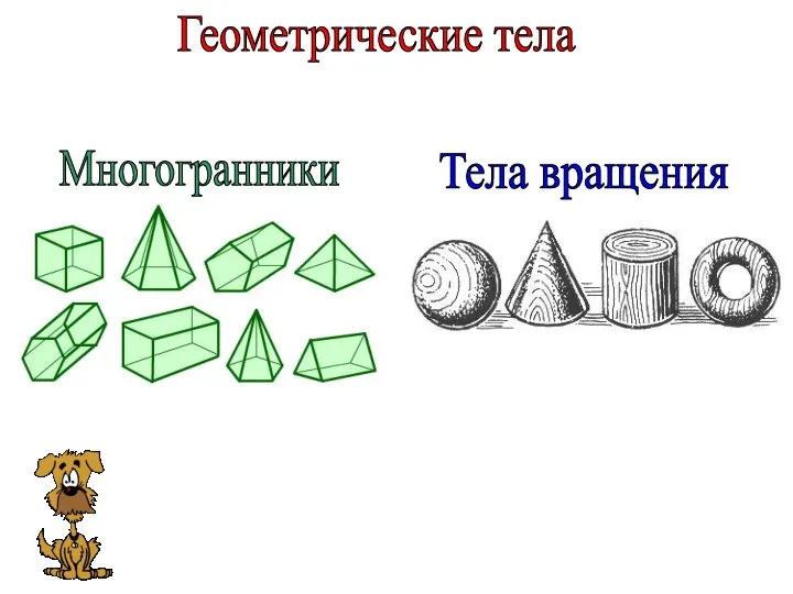 Геометрические тела Многогранники Тела вращения