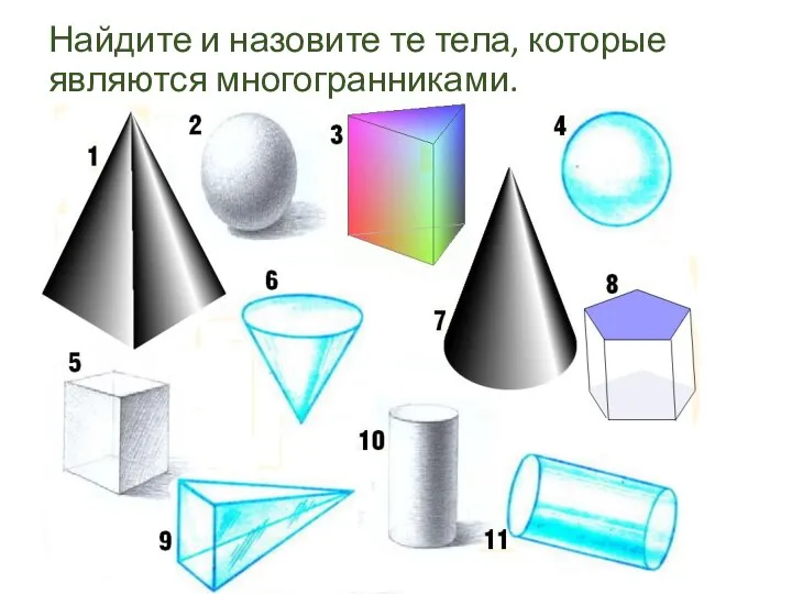 Найдите и назовите те тела, которые являются многогранниками.