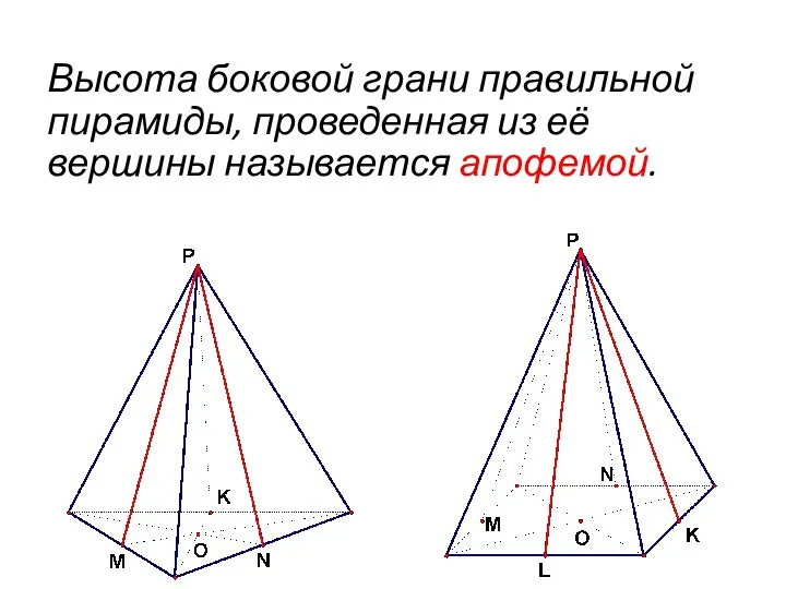 Высота боковой грани правильной пирамиды, проведенная из её вершины называется апофемой.