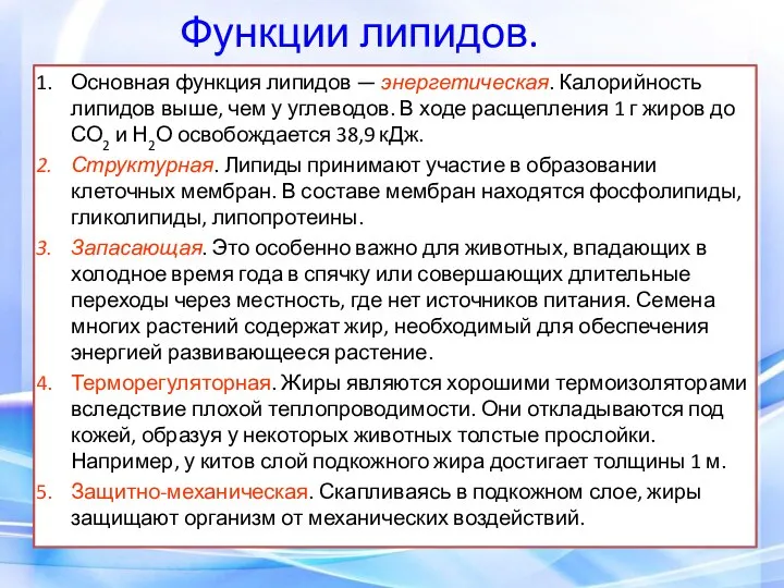 Функции липидов. Основная функция липидов — энергетическая. Калорийность липидов выше, чем