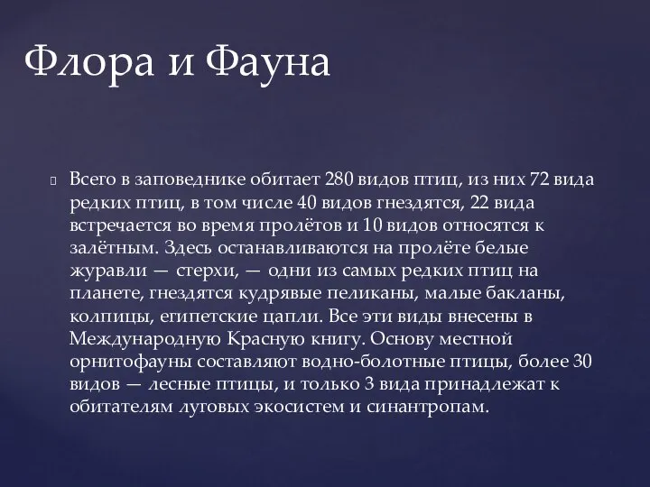 Всего в заповеднике обитает 280 видов птиц, из них 72 вида