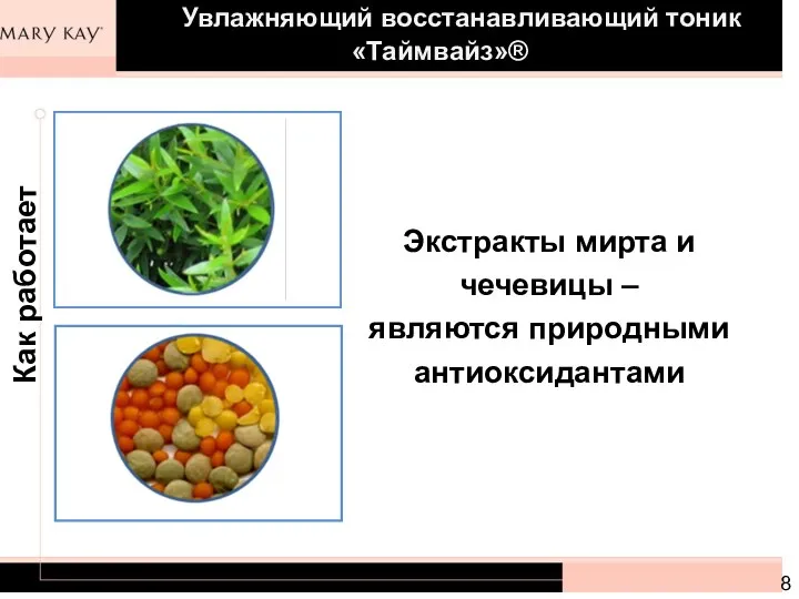 Экстракты мирта и чечевицы – являются природными антиоксидантами Как работает Увлажняющий восстанавливающий тоник «Таймвайз»®