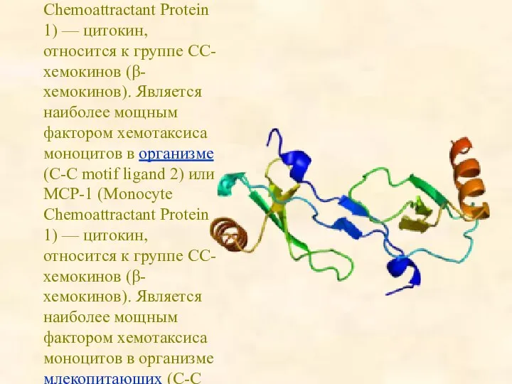 CCL2 (C-C motif ligand 2) или MCP-1 (Monocyte Chemoattractant Protein 1)