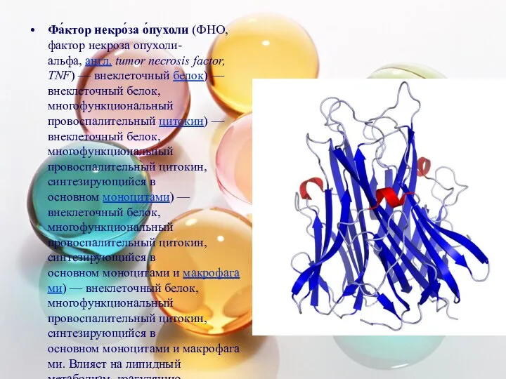 Фа́ктор некро́за о́пухоли (ФНО, фактор некроза опухоли-альфа, англ. tumor necrosis factor,