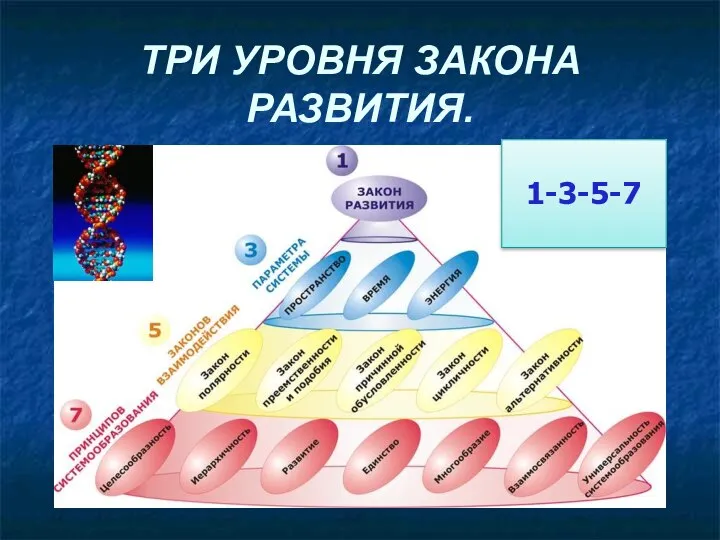 ТРИ УРОВНЯ ЗАКОНА РАЗВИТИЯ. 1-3-5-7