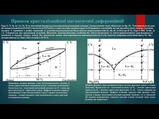 Процеси кристалізаційної магматичної диференціації Принципова діаграма фазового стану багатокомпонентної системи (3