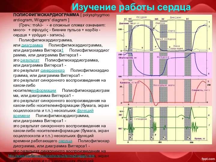 ПОЛИСФИГМОКАРДИОГРАММА [ polysphygmocardiogram, Wiggers' diagram ] (Греч.: πολύ- - в сложных