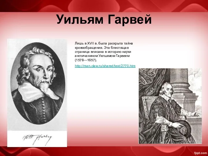 Уильям Гарвей Лишь в XVII в. была раскрыта тайна кровообращения. Эта